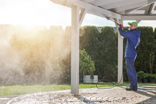 Best Gutter Cleaning  in Beulah, ND